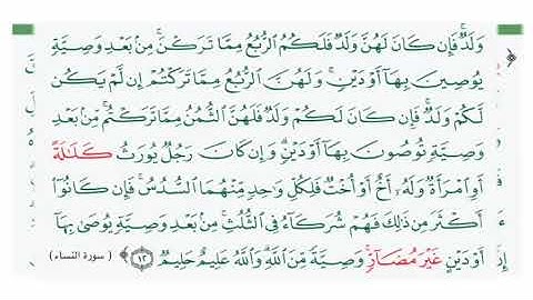 من سورة النساء (١١-١٢) / آيات الميراث / ياسر الدوسري /  #ياسر_الدوسري /