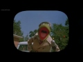 Follow That Bird 1985 Bring In Back To The Dodos Follow That Bird 1985 Bring In Back To The Dodos