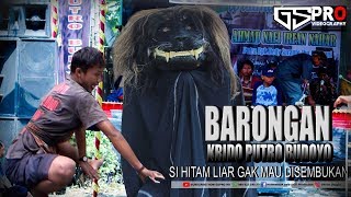 Barongan krido putro budoyo los kesurupan