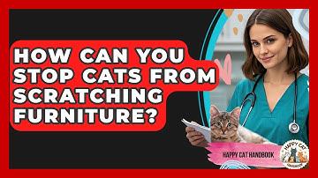 How Can You Stop Cats from Scratching Furniture? | Happy Cat Handbook