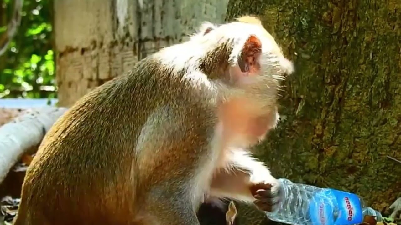 The power of mother from the SON 