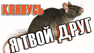 Кто твой друг?Сила окружения. Моя история дружбы.