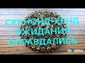 СЕКОНД-ХЕНД.  Вот это НАХОДКА!!!!! БЛОШИНЫЙ РЫНОК . Larisa Tabashnikova.  22/02/19