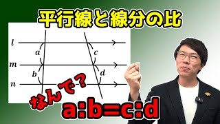【中学数学】平行線と線分の比～分かりやすく～ 5-5 【中３数学】