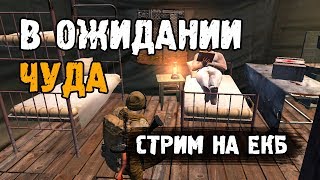 В ожидании ЧУДА. Стрим на "ЕКБ". Сталкер Онлайн. В ожидании ЧУДА. Стрим на "ЕКБ". Сталкер Онлайн.