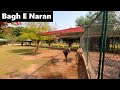 4K Walk - Bagh E Naran Peshawar | Bagh E Naran Phase 3 Hayatabad Peshawar [4K] | باغِ ناران پشاور