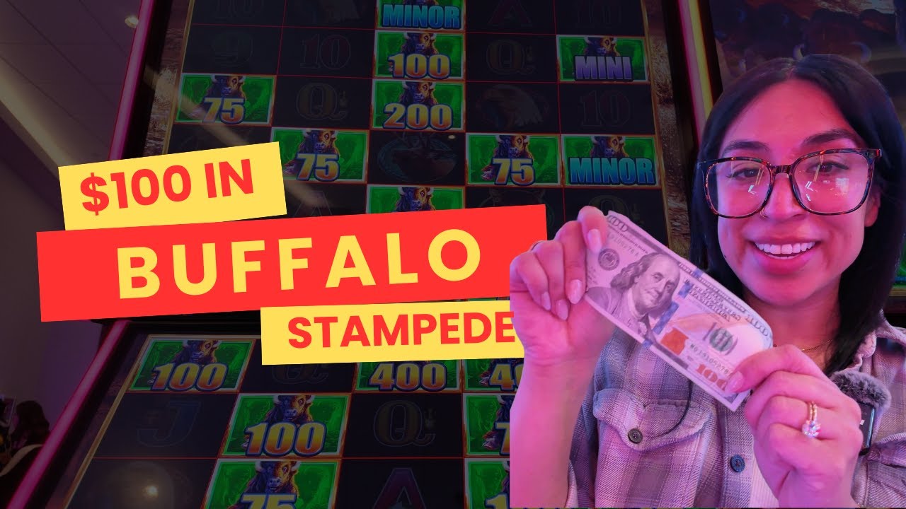 Playing Buffalo Stampede with $100!