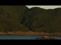 dodo - mypace (visual audio)