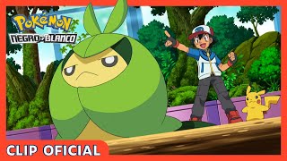 ¡Sewaddle evoluciona! | Serie Pokémon Negro y Blanco | Clip oficial