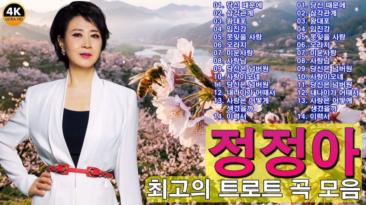 정정아/최고의 트로트 곡 모음 🍒 당신 때문에/삼각관계/미운사랑... 🌸 60분 연속듣기/정정아 트로트 메들리