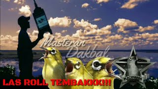 Best mastering pleci DAKBAL trah jawara
