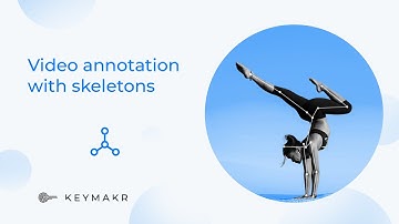 Video annotation with skeletons