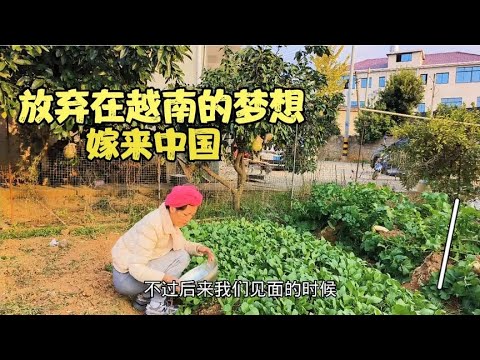 放弃在越南的梦想嫁来中国做全职宝妈，有人问我真的甘心吗，我从