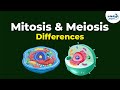 Differences between Mitosis and Meiosis | Don't Memorise