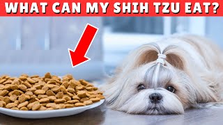 What Can My Shih Tzu Eat and Not Eat?