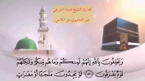 تلاوة عراقية رائعة|| الشيخ ضياء المرعي|| الطور الحليوي من اللامي