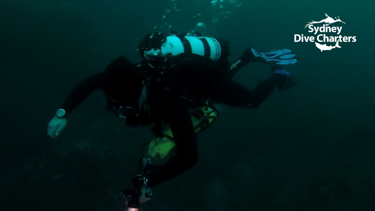 Deep diving technical dive Sydney scuba diving Doubt Reef best dive site