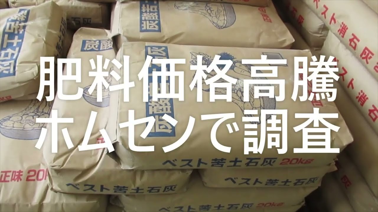 枝豆土中緑化摘芯断根栽培失敗例あちゃー Youtube