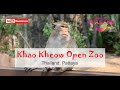 Влог - Khao Kheow Open Zoo. ( Таїланд. Таиланд. Thailand Паттайя ) Частина 4-та