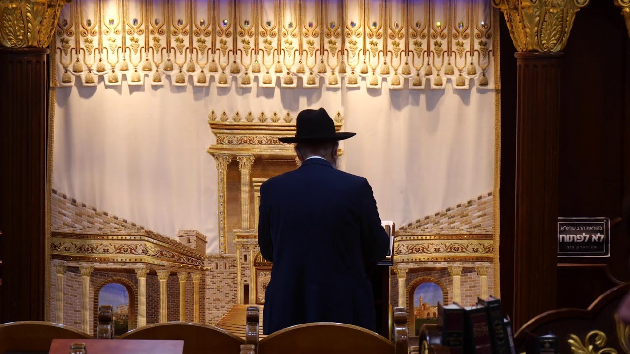 הרב מאיר דוד שמואלי שליט"א - שידור חי יום ד' - פרשת בראשית תשפ"ז