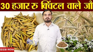 30,000 रुपये प्रति क्विंटल वाले जौ | Inderjau ki kheti | Medicinal plant farming | इन्द्रजौ की खेती