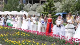 Бум невест в Красноярске Бум невест в Красноярске