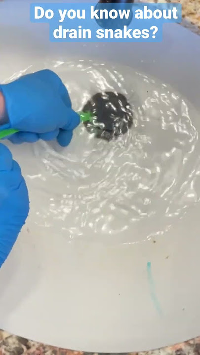 Do You Know About Drain Snakes? Clogged Drain Tip from a Cleaning Pro