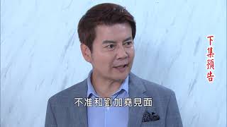 閱讀文章 看板ftv 批踢踢實業坊 閱讀文章 看板ftv 批踢踢實業坊