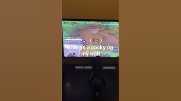 there’s a cocky on my wall clip #wow #crusader