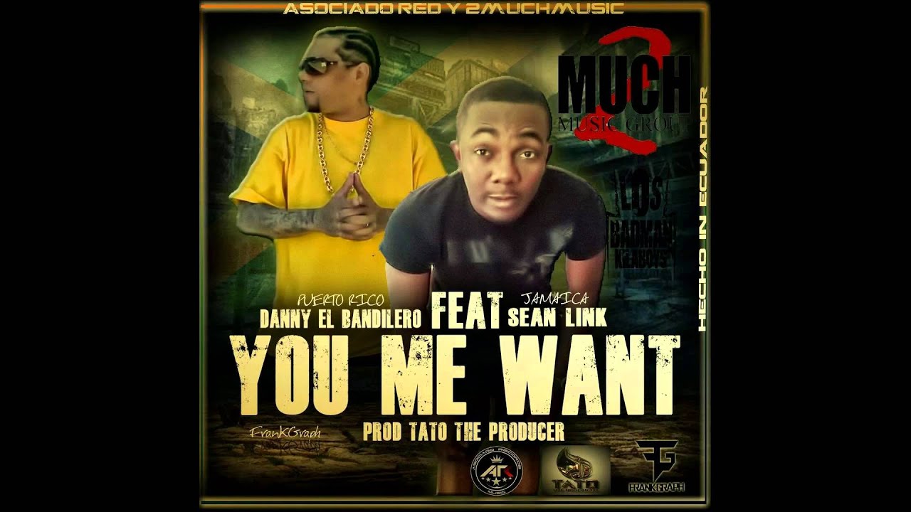 (U me want) Danny el Bandilero ft. Sean Link