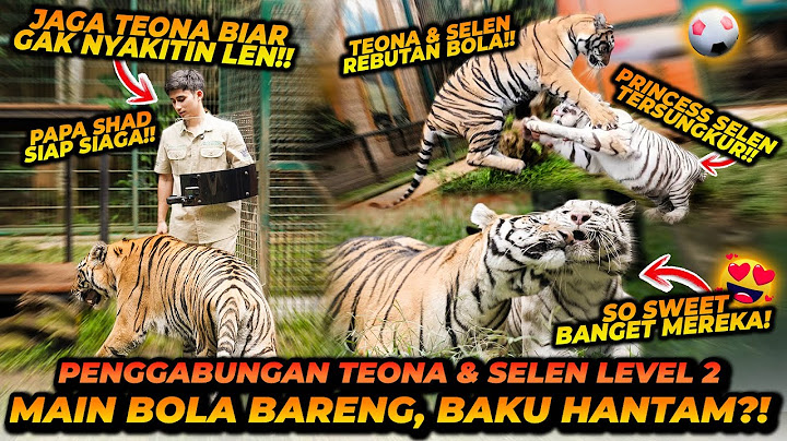 LEVEL SELANJUTNYA ! TEONA SELEN DIKASIH BOLA UNTUK BERMAIN BARENG TAPI MALAH REBUTAN SAMPE B3R4NTEM?
