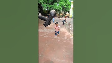 Big snake chasing baby 🐍😱 #shorts #bigsnake #snake