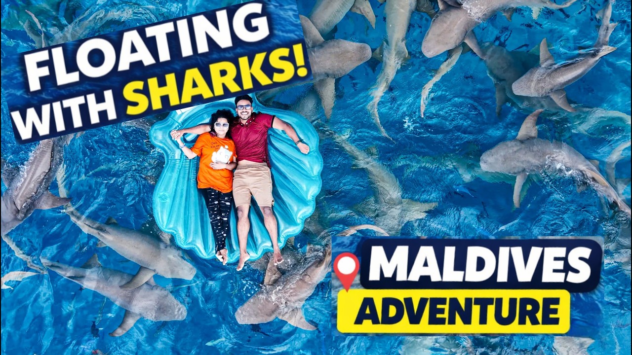 Majestic Maldives | Island Hopping, Sharks & Sandbanks | 4N 5D Trip