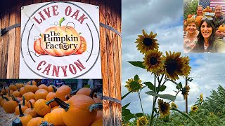 LARGEST & BEST PUMPKIN PATCH IN SO CAL; Plus 8 great tips!