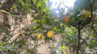 Gallivanting Around Barcelona (Part One)