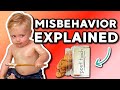 10 reasons why your toddler is misbehaving and what to do about it