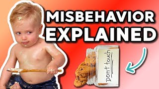 10 Reasons Why Your Toddler is Misbehaving (and What to Do About It!)