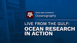 Texas A&M Oceanography Live From The Gulf: Ocean Research In Action