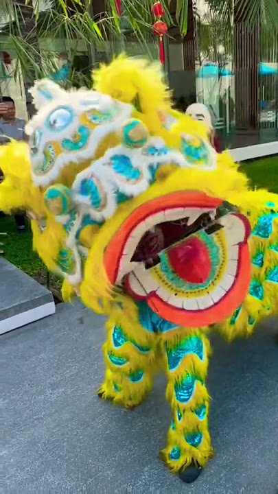 Chinese New Year Lion Dance 2023 Thailand #shorts