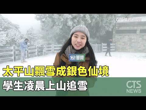 太平山飄雪成銀色仙境 學生凌晨上山追雪｜華視新聞 20231222