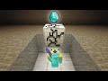 I Stole Minecraft&#39;s Rarest Diamond