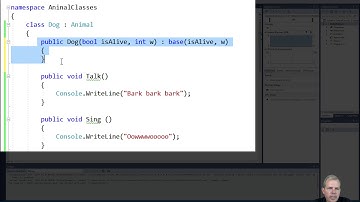 C# Object Oriented Programming 02 dog