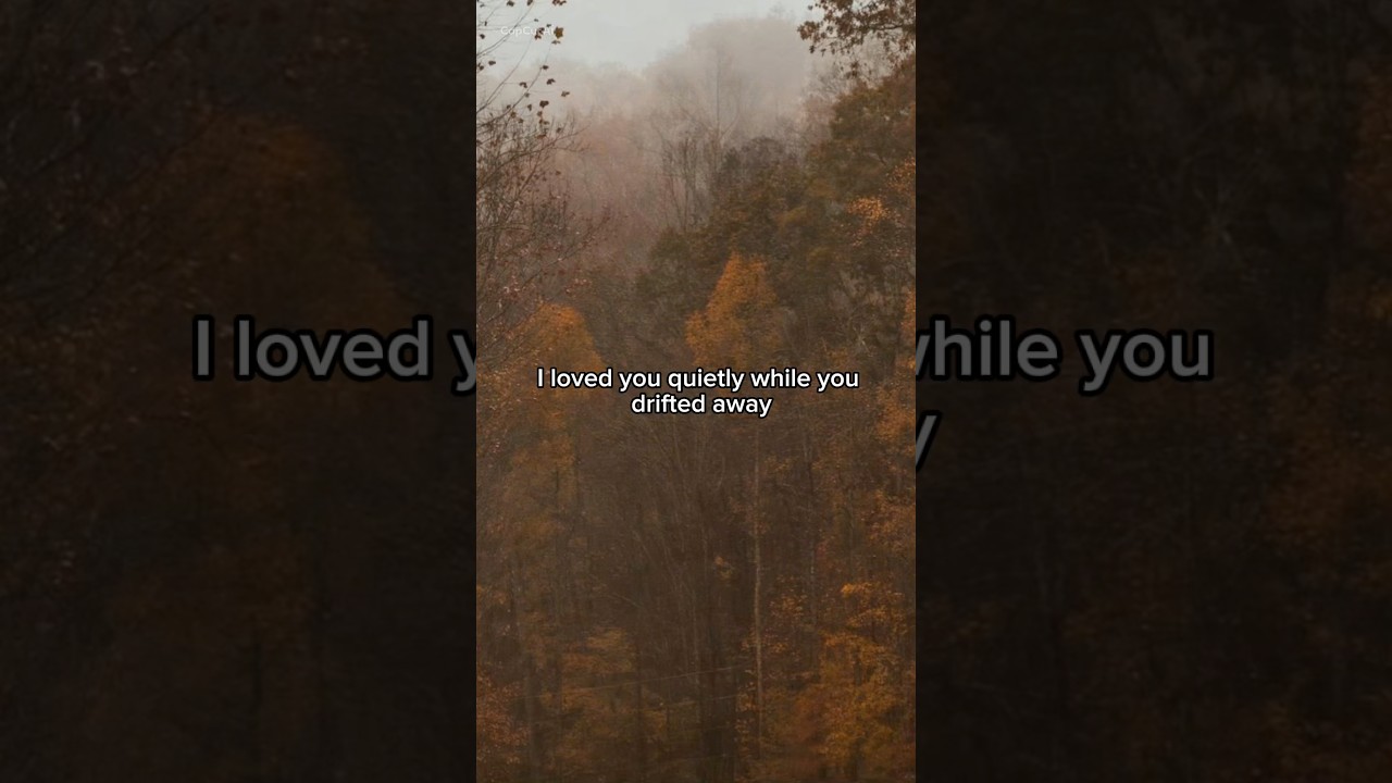 I Loved You Quietly While You Drifted Away 