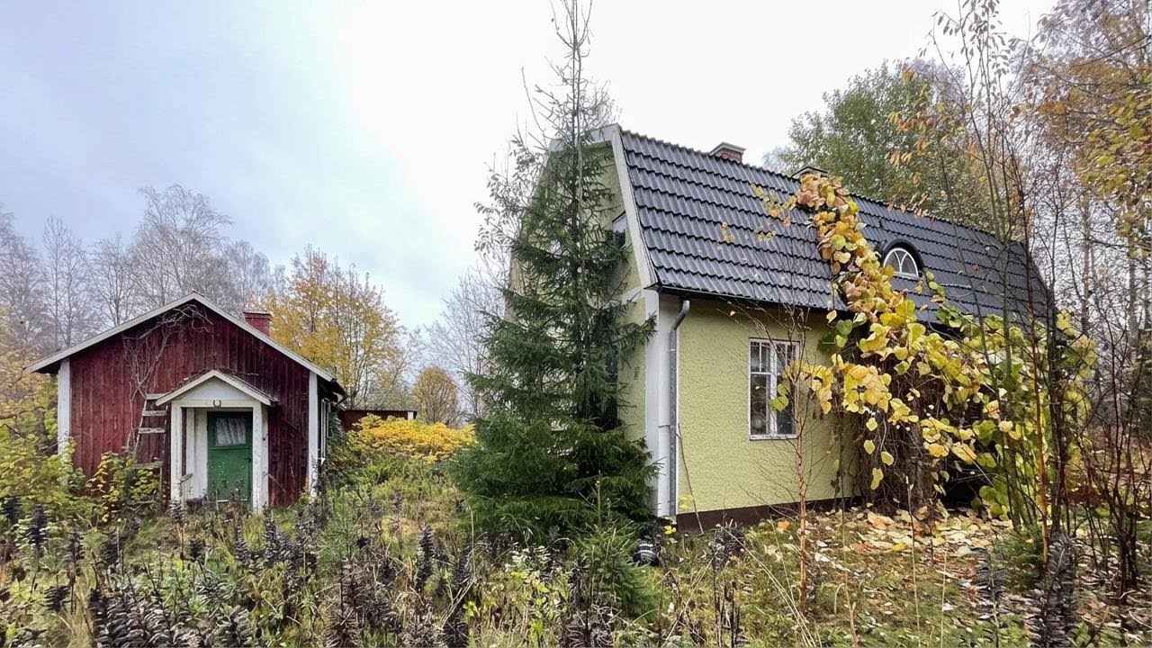 Rumah Mini Terbengkalai Tak Tersentuh di Pedesaan Swedia!