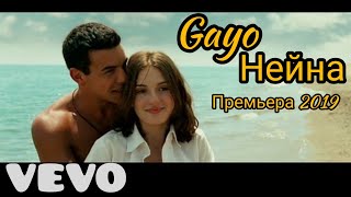 Gayo  (Нейна 2019)