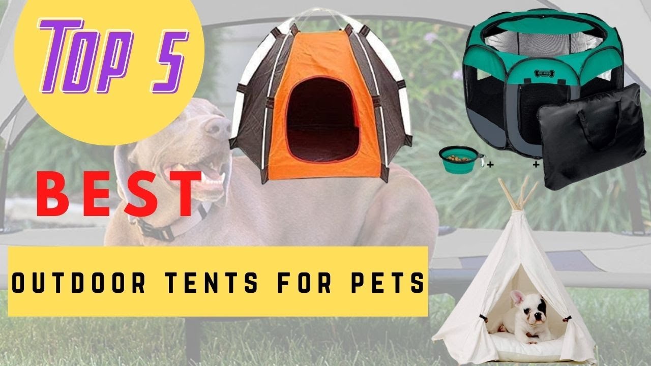 Top 5 Best Outdoor Tents For Pets Review 2021 YouTube