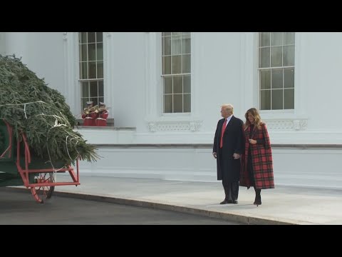 Vídeo: Melania Trump Recebe A árvore De Natal Da Casa Branca