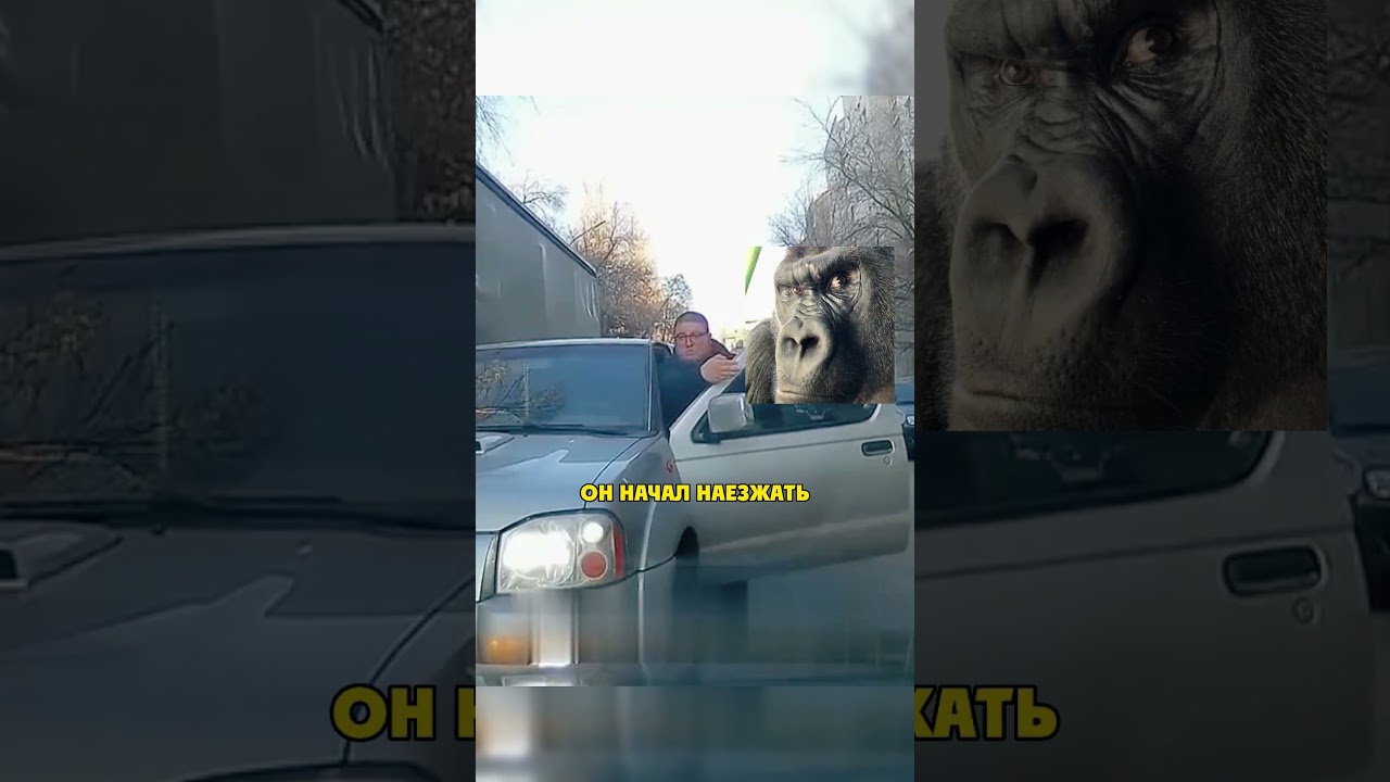 Наглый Водятел На Встречке