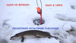 ловля щуки на флажки зимняя рыбалка поездка на снегоходе тайга с четырехтактным мотором .