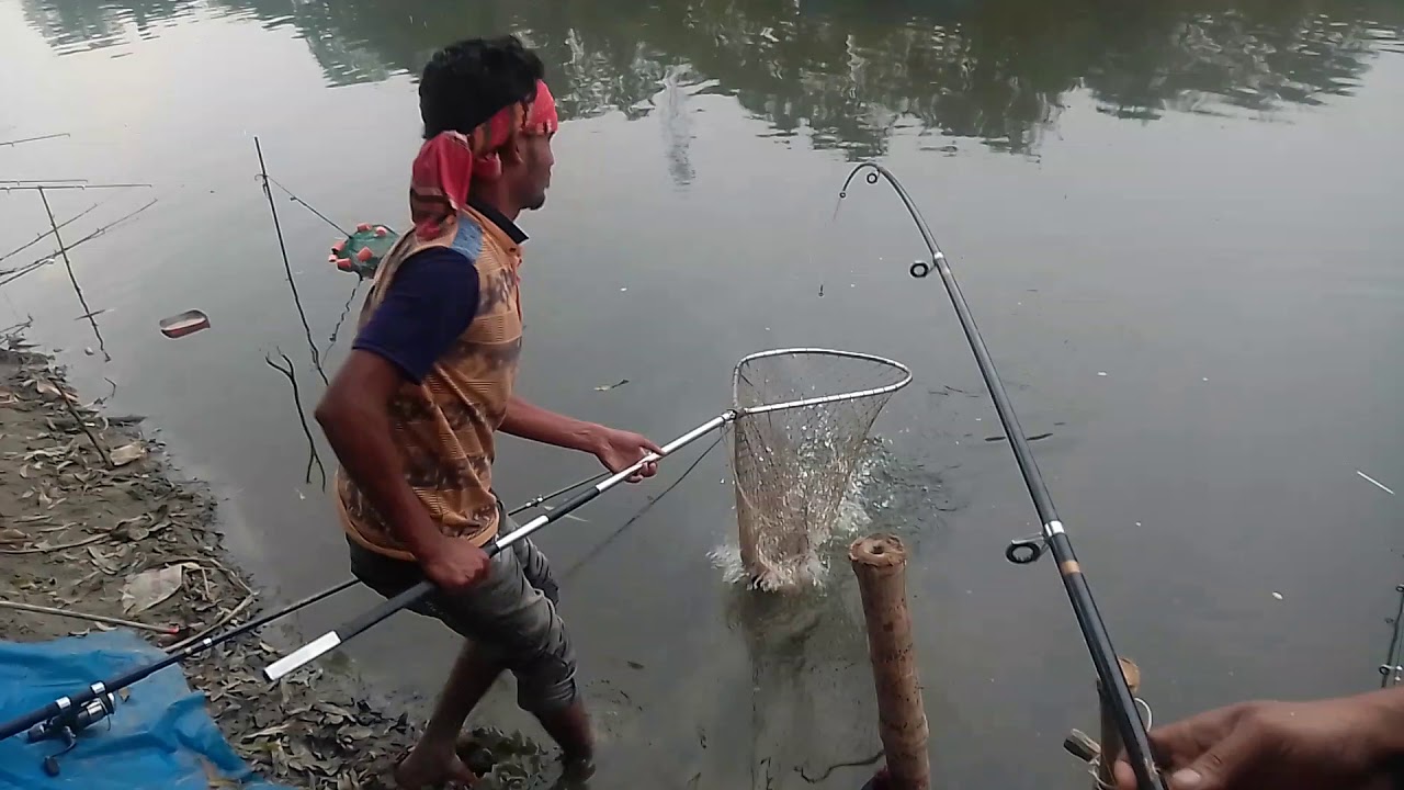 fishing in bogra - YouTube